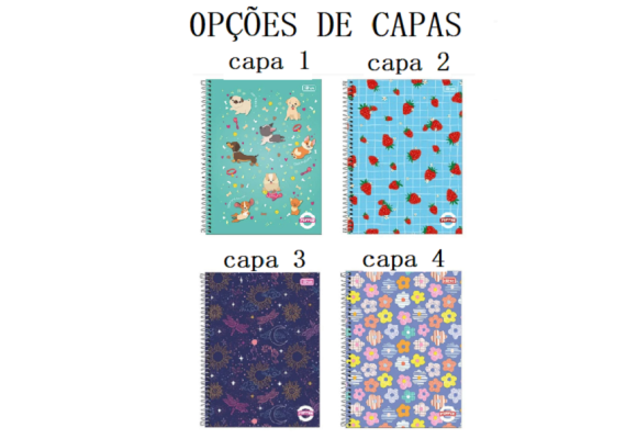 https://www.colegioied.papelariapremium.com.br/image/cache/data/eftr/Img_ftr_rp_394501-580x400.PNG