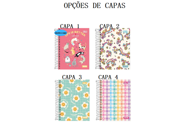 https://www.colegioied.papelariapremium.com.br/image/cache/data/eftr/Img_ftr_rp_408301-580x400.PNG