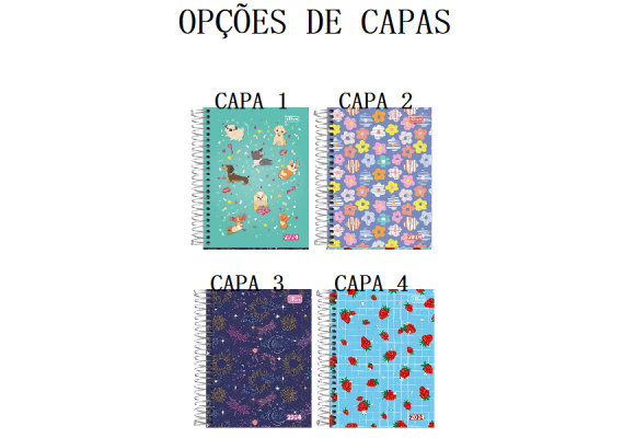 https://www.colegioied.papelariapremium.com.br/image/cache/data/eftr/Img_ftr_rp_409101-580x400.PNG