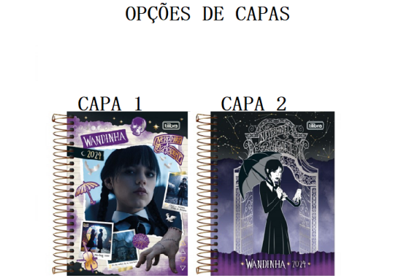 https://www.colegioied.papelariapremium.com.br/image/cache/data/eftr/Img_ftr_rp_410201-580x400.PNG