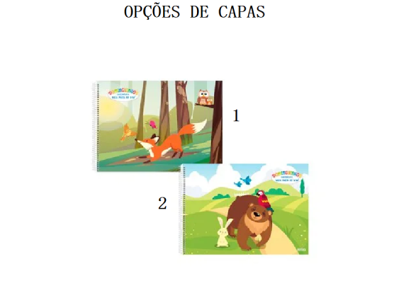 https://www.colegioied.papelariapremium.com.br/image/cache/data/eftr/Img_ftr_rp_426501-580x400.PNG